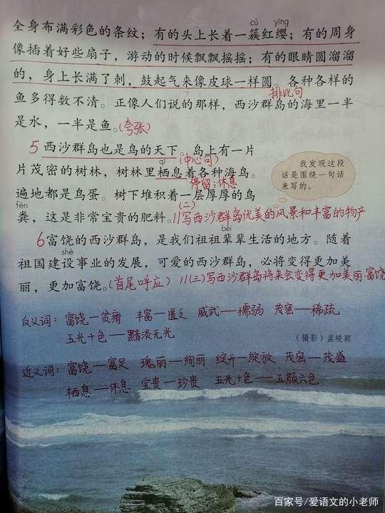 西沙群岛市场监督管理局最新招聘信息概览，西沙群岛市场监督管理局最新招聘公告概览