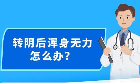 新澳精准资料大全免费更新,仿真实现技术_社交版54.308