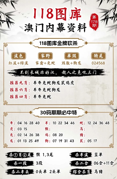 今晚澳门特马开什么今晚四不像,实地计划设计验证_冒险版74.572