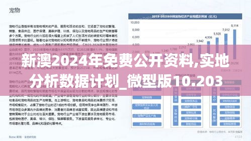 新澳2025年正版资料,资源整合策略实施_入门版91.436